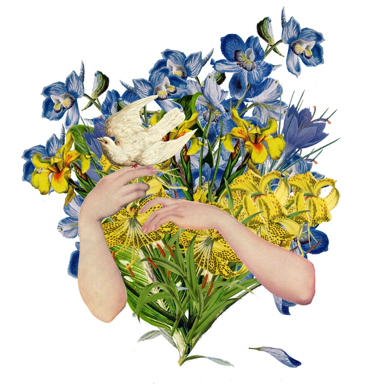 bukiet ukraina