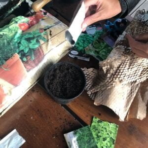 warsztaty-z-bioroznorodnosci-6